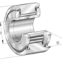 NATR10-PP-A